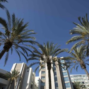 Daytime ground level view of the skyline of Anaheim, California, USA.